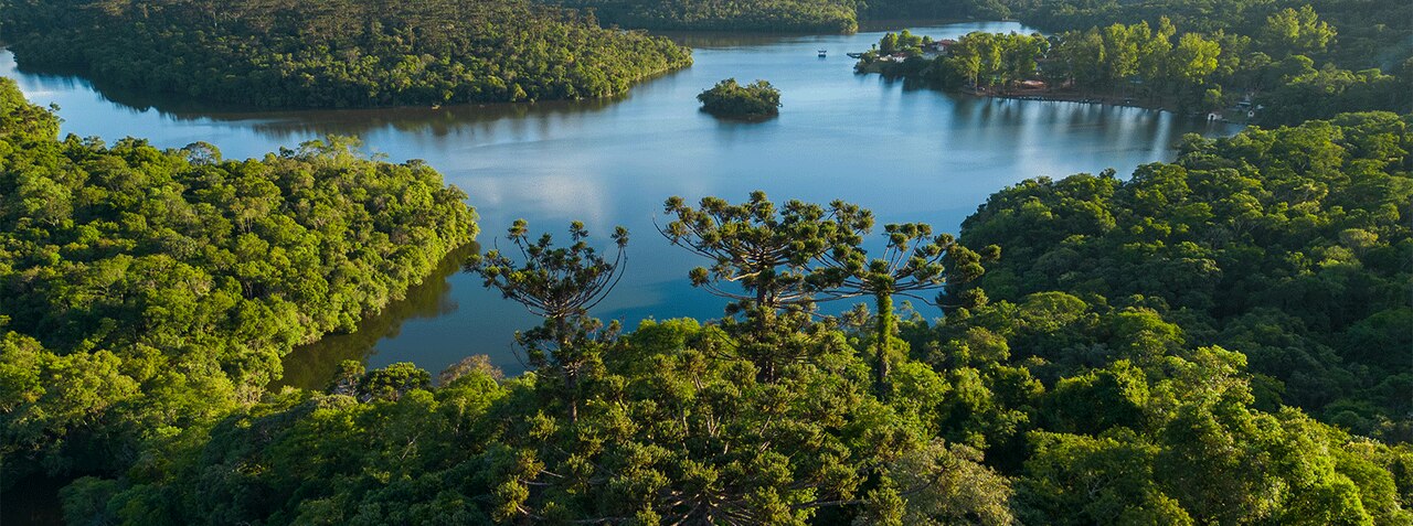 paisagem de uma área preservada da klabin