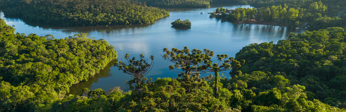 rio em uma floresta em mosaico da klabin