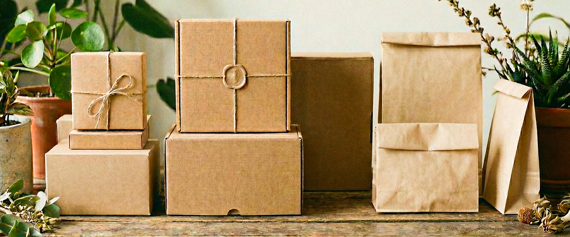 Variedade de embalagens sustentáveis de papel, representando alternativas renováveis e de baixo impacto ambiental.