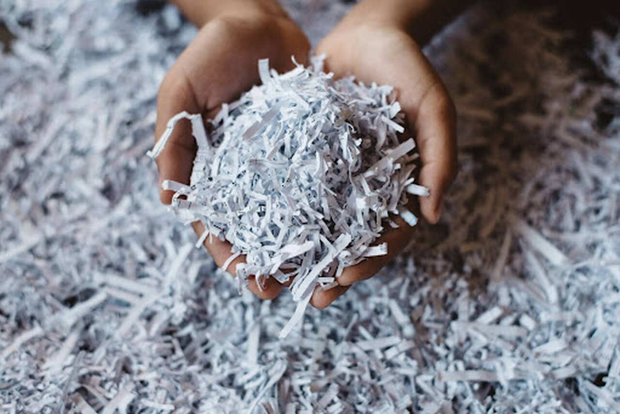 Mãos seguram vários filetes de papel triturado durante o processo de reciclagem.